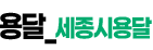세종시용달